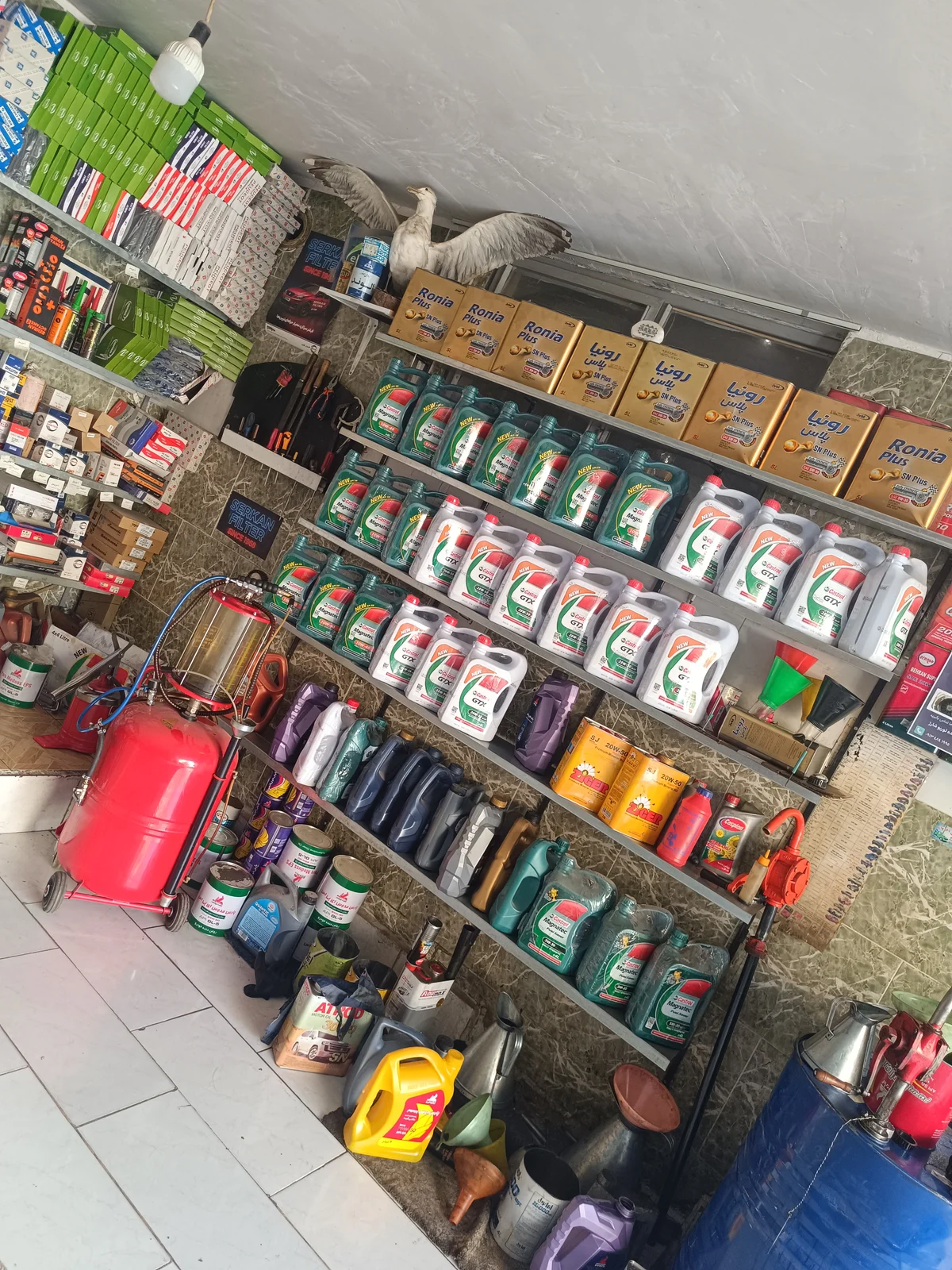 تعویض روغن علیاری